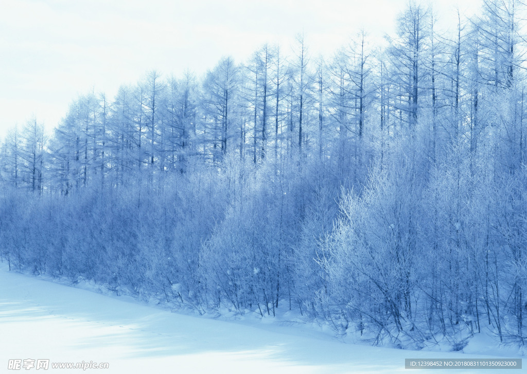 林海雪原