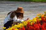 花前的女孩