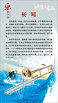 【认识乐器】长号