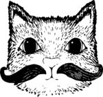 猫头