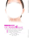 活动物料
