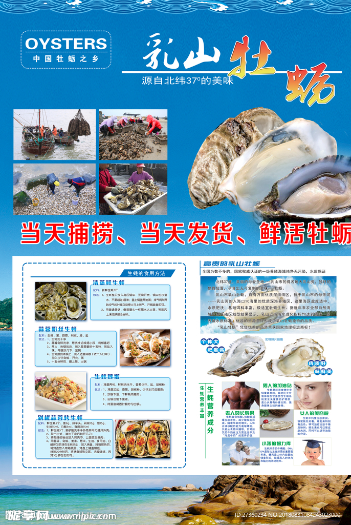 乳山牡蛎