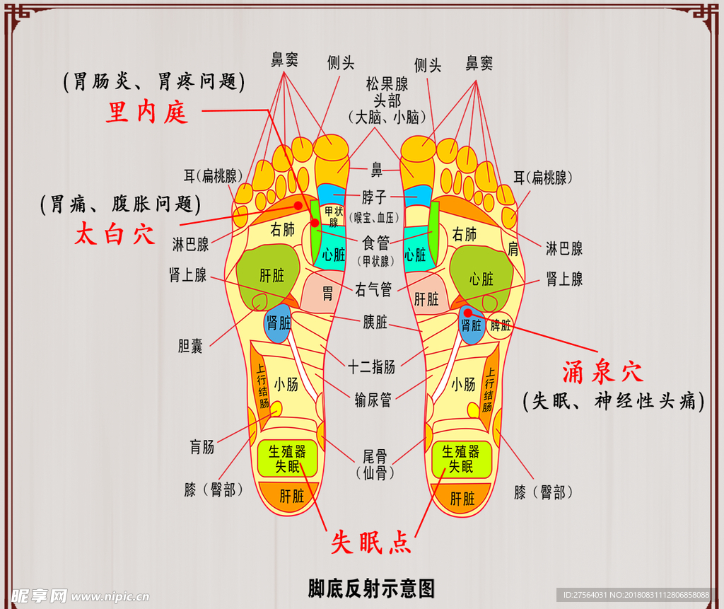 足疗反射区/操作/注意/。。 - 哔哩哔哩