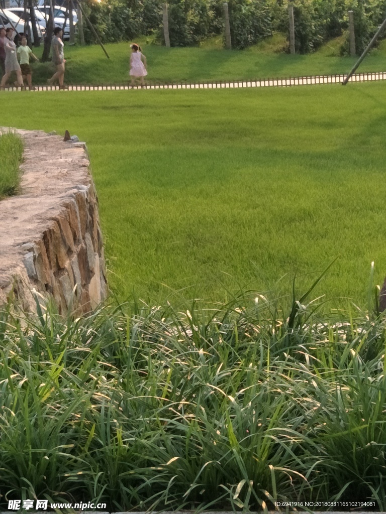 草地