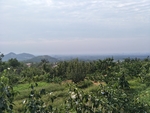 风景