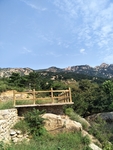 山