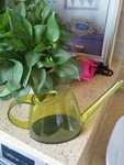 浇花壶