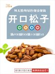 松子海报