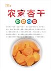杏干海报