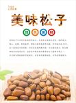 松子海报