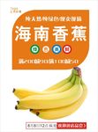 香蕉海报
