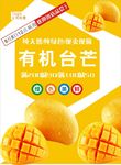 芒果海报