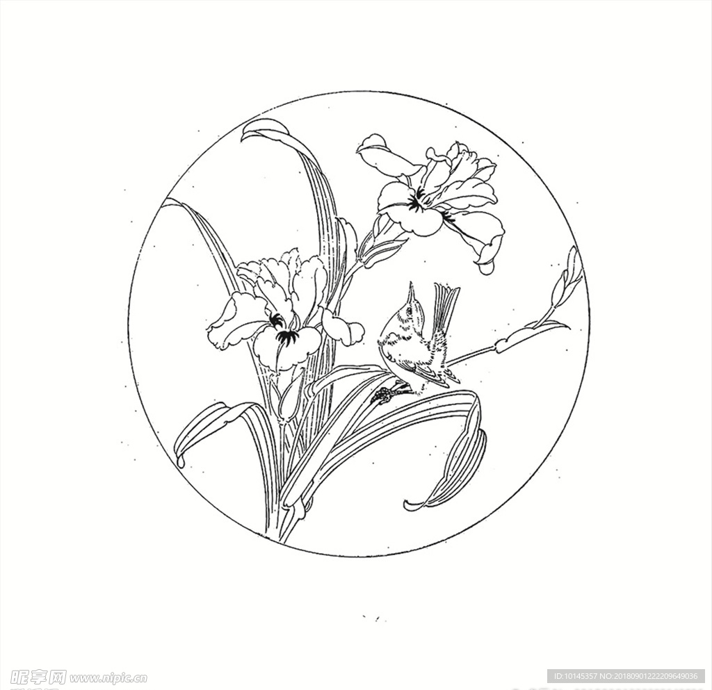 花鸟