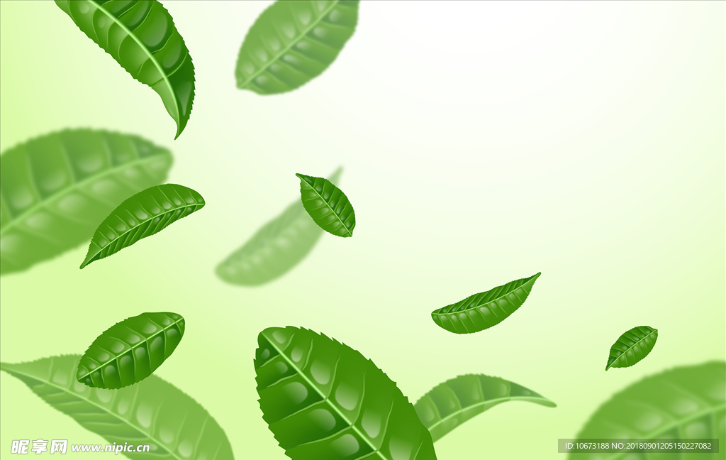 茶叶矢量图