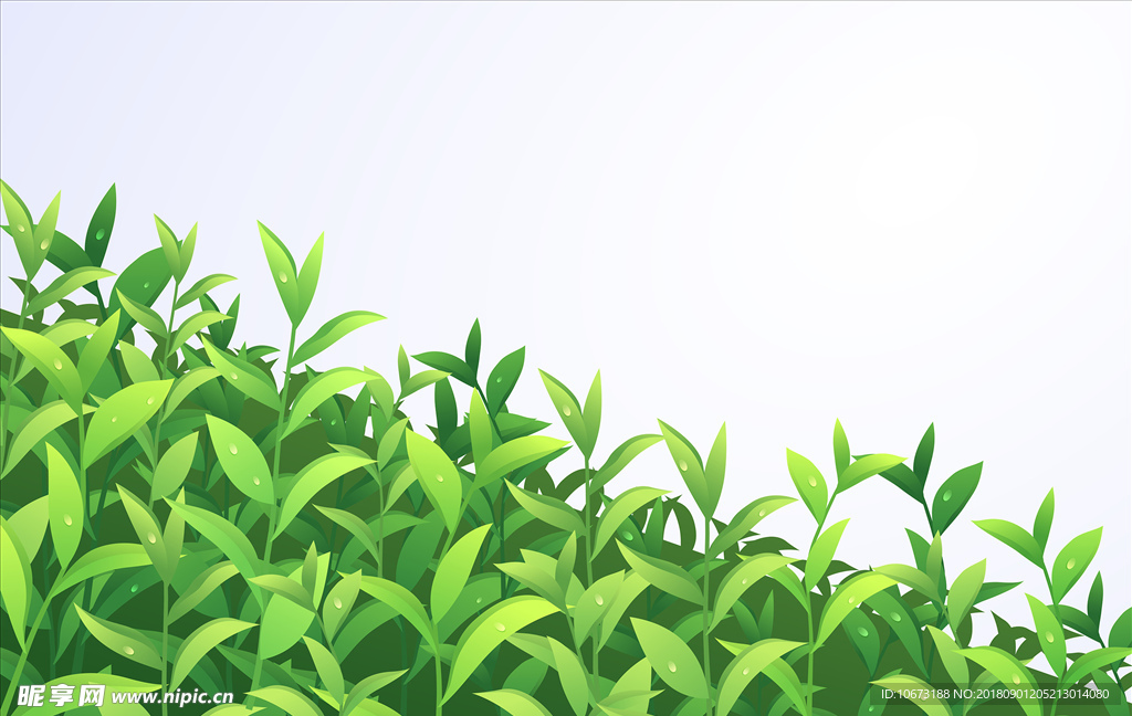 茶叶矢量图