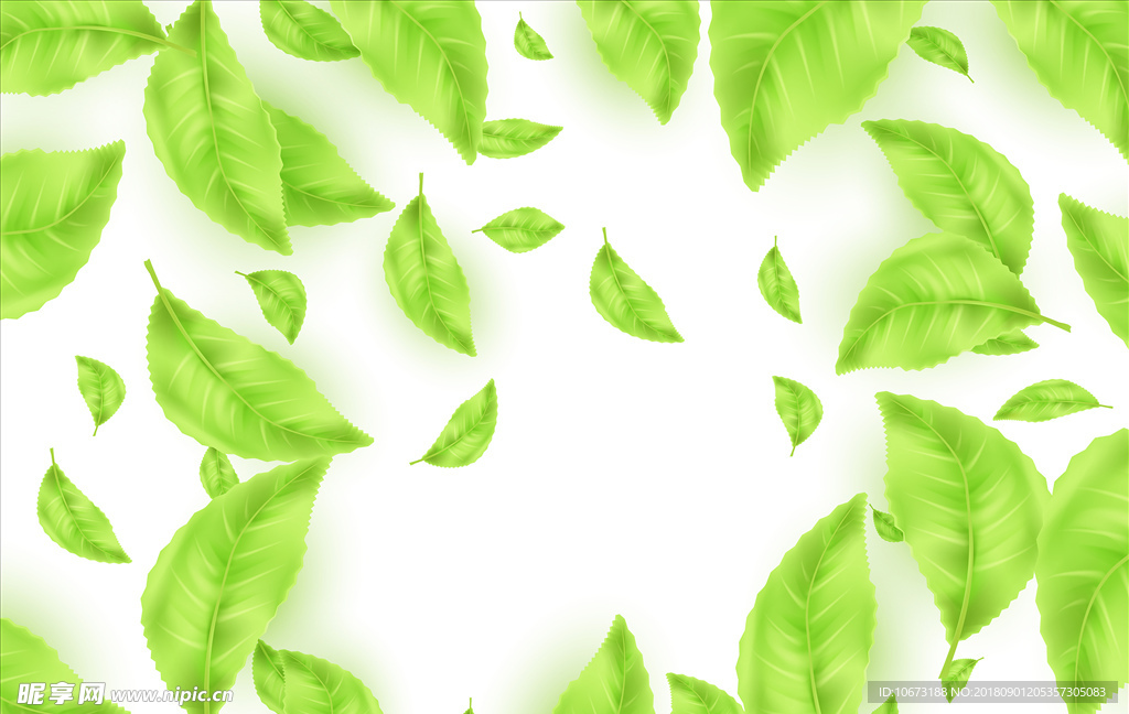 茶叶矢量图