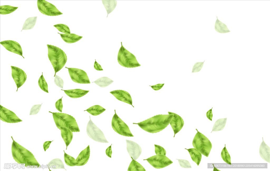 茶叶矢量图