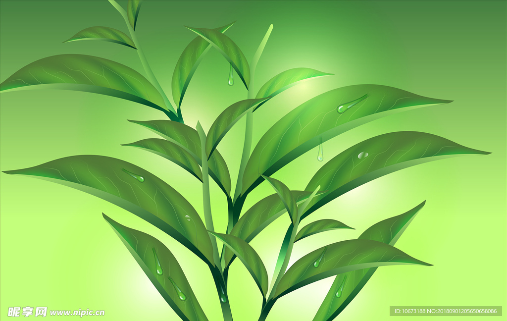 茶叶矢量图
