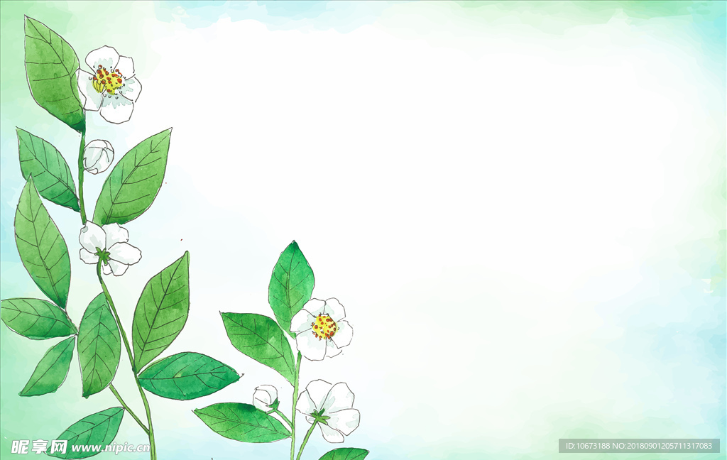 茶叶矢量图
