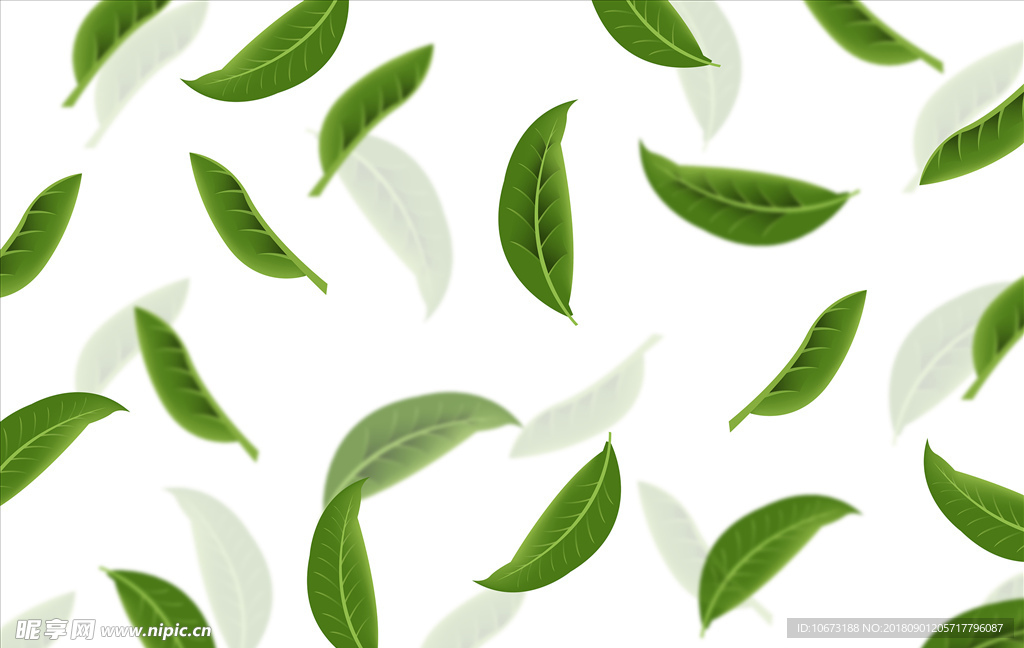 茶叶矢量图