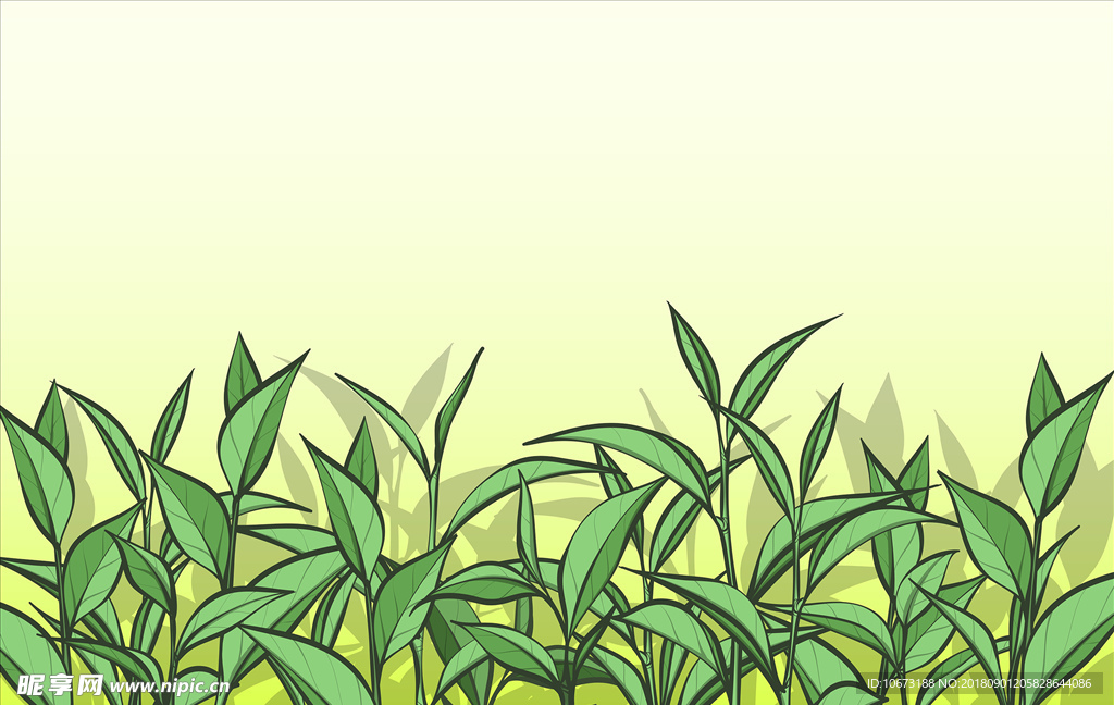 茶叶矢量图