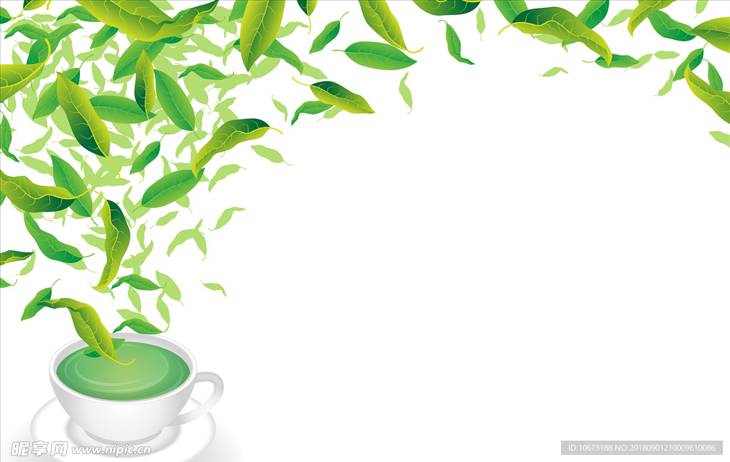 茶叶矢量图