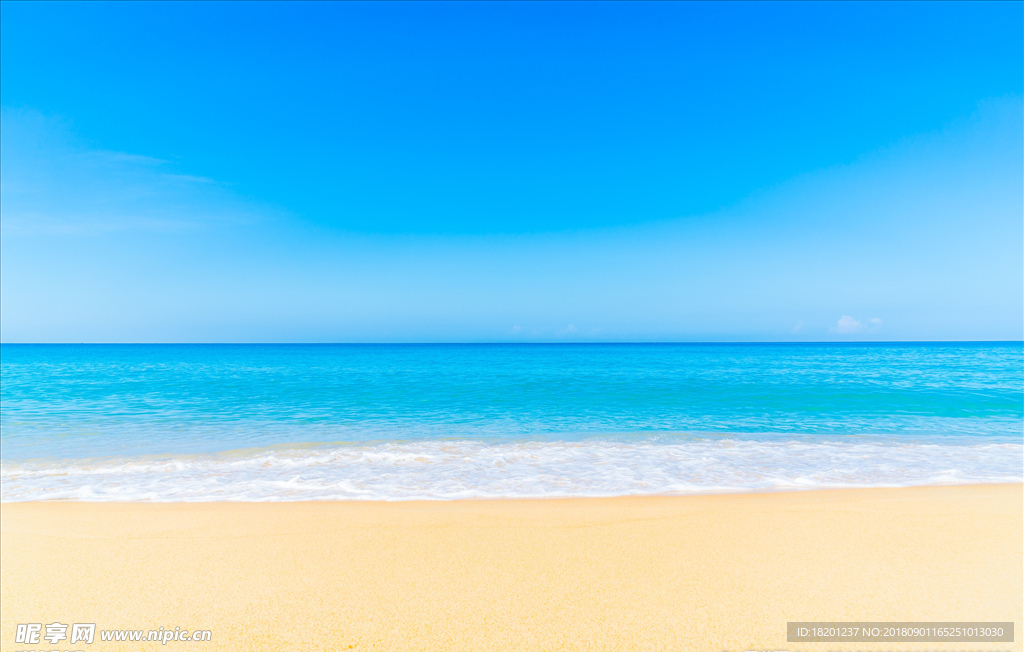大海