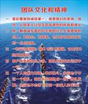 企业团队精神文化