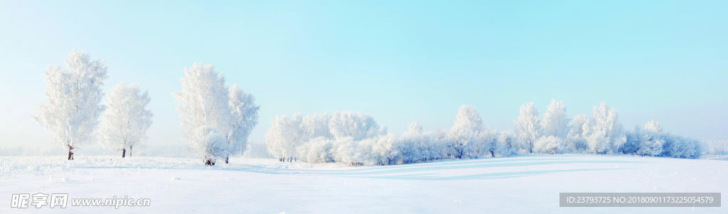 雪景