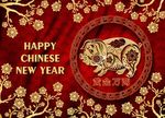 2019年猪年新年快乐