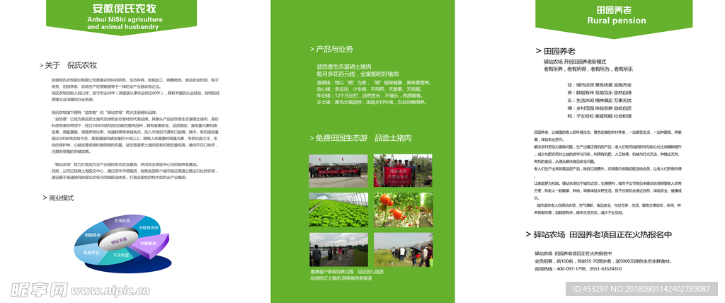 公司折页