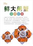 大闸蟹海报