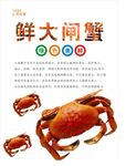 大闸蟹海报