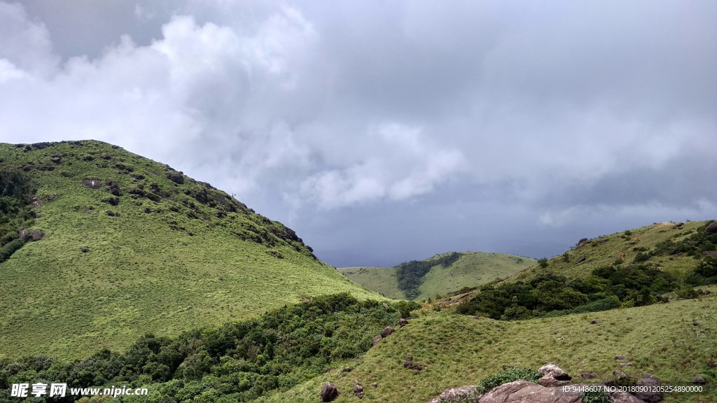 翠绿青山图片