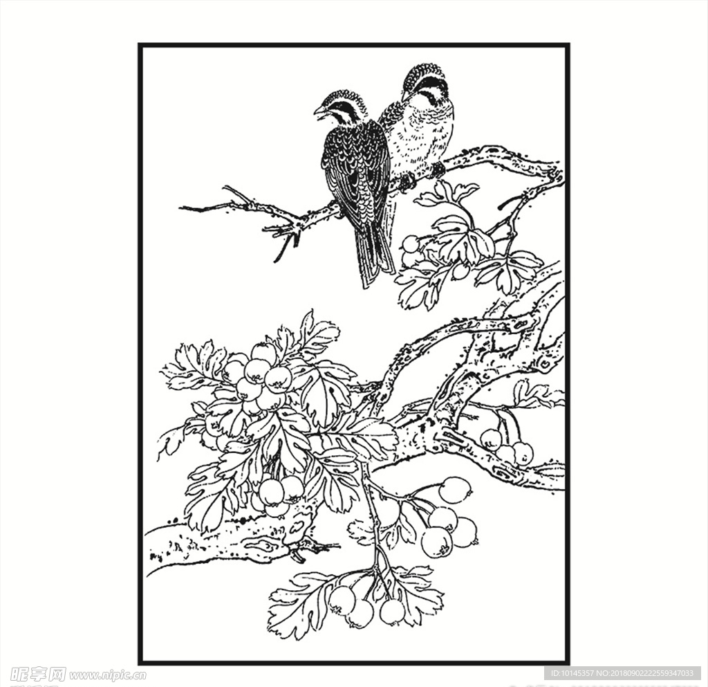 鸟与果实