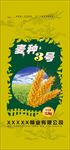 小麦种子 种子 小麦 包装