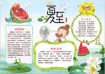 夏天小报