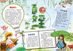 夏天小报