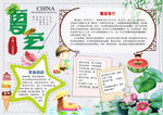 夏天小报