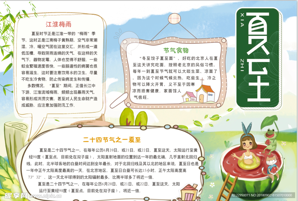 夏天小报