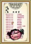 中医 医学 古典   养生