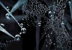 蜘蛛网上的水滴