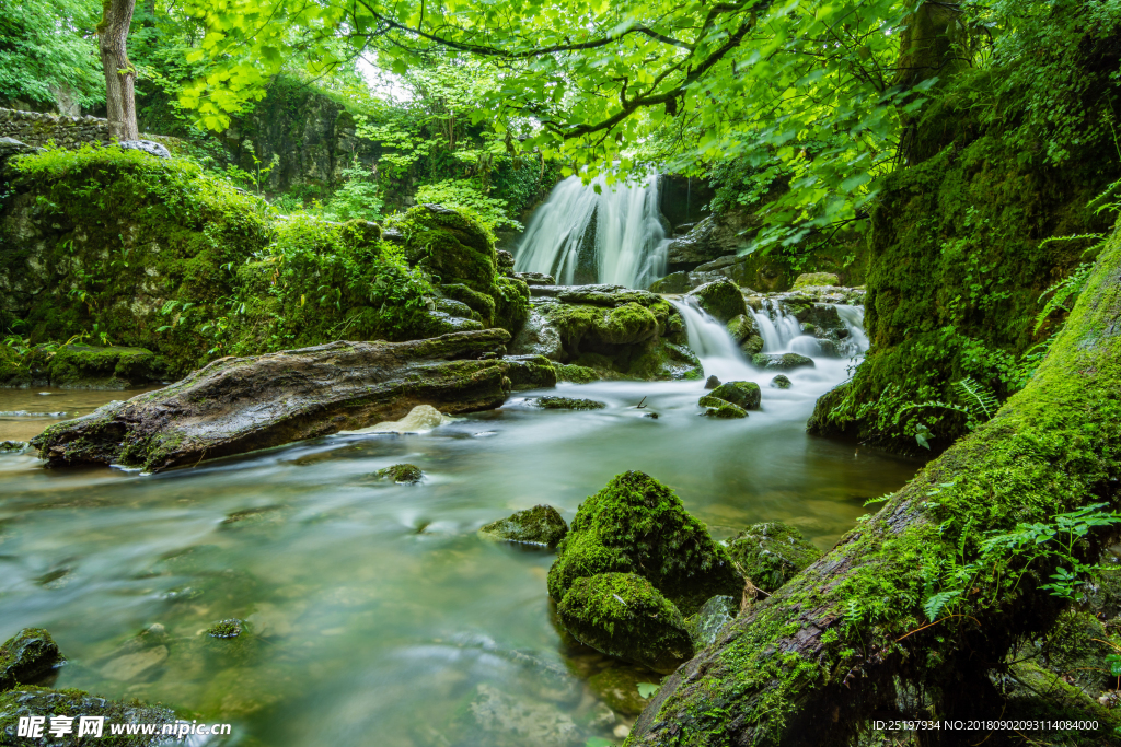 青山绿水