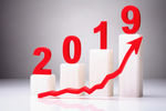 2019 图片