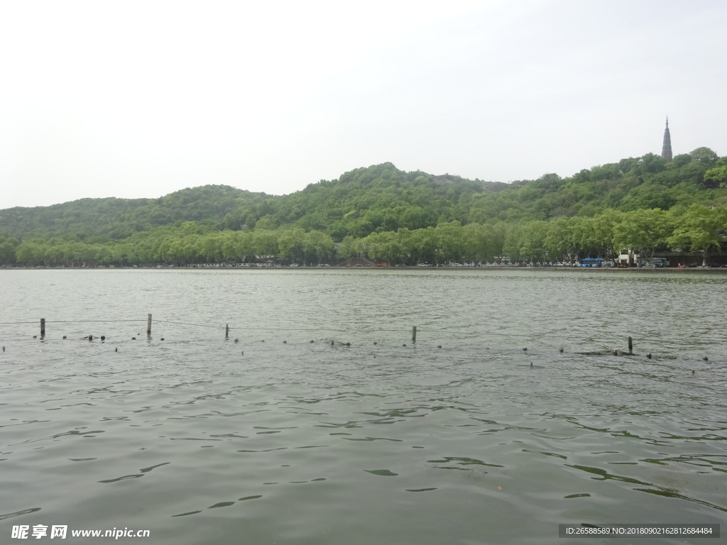 西湖风景