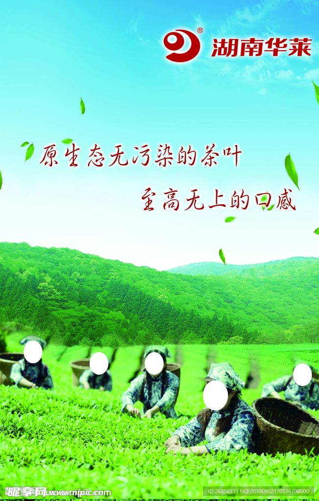 安化黑茶