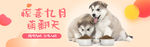 可爱风格日常需求宠物用品海报