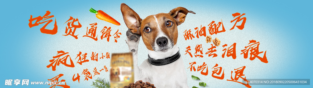 可爱风格日常需求宠物用品全屏海