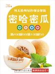 哈密瓜海报