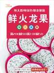 火龙果海报